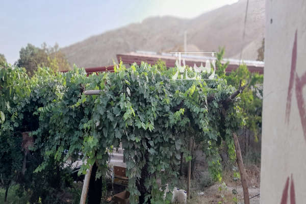 فروش زمین باغ تهران ۶۰۰ متر دماوند روستای کبود ملک-1