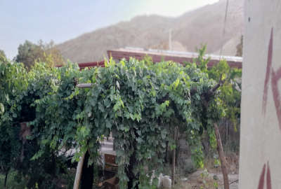 فروش زمین باغ تهران ۶۰۰ متر دماوند روستای کبود ملک