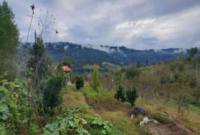 فروش زمین کشاورزی شمال ۱۰۰۰ متر ساری ساری روستای سقندیکلا