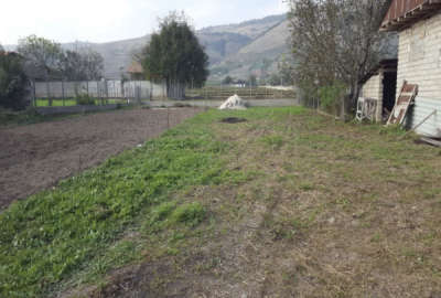 فروش زمین مسکونی شمال ۳۰۰ متر ساری فریم روستای شلدره