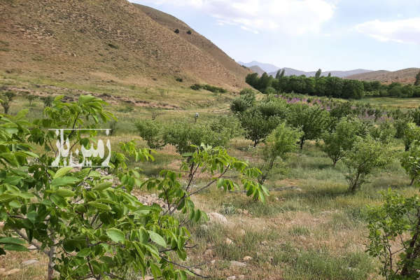 فروش زمین باغ کشاورزی تهران ۱۷۰۰۰ متر فیروزکوه روستای امین اباد-1