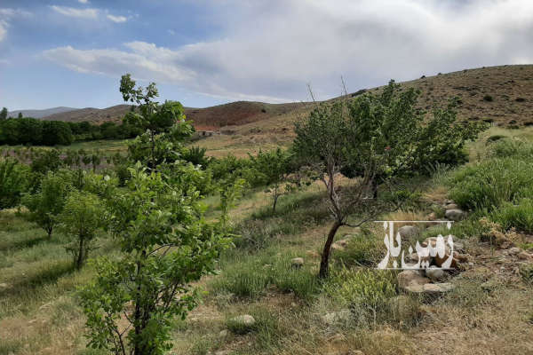 فروش زمین باغ کشاورزی تهران ۱۷۰۰۰ متر فیروزکوه روستای امین اباد-2