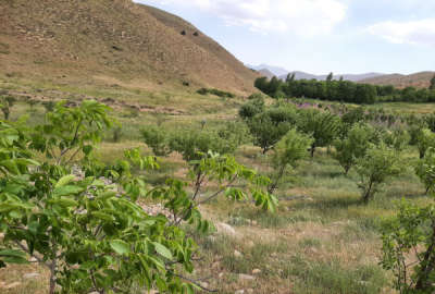 فروش زمین باغ کشاورزی تهران ۱۷۰۰۰ متر فیروزکوه روستای امین اباد