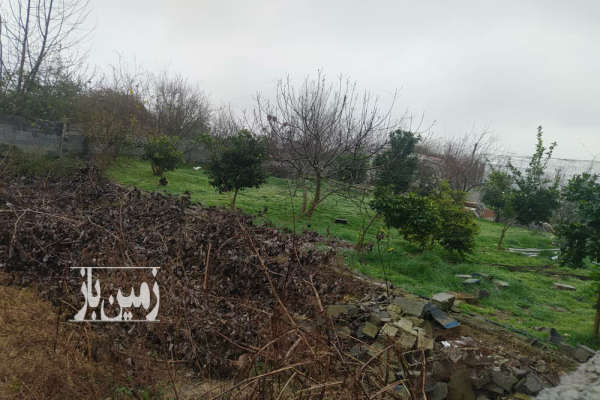 فروش زمین مسکونی باغ شمال ۳۷۵ متر چمستان جاده آمل به نور شهربند-1