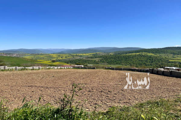 فروش زمین مسکونی کشاورزی شمال ۱۰۵۰ متر ساری روستای کرسام-1