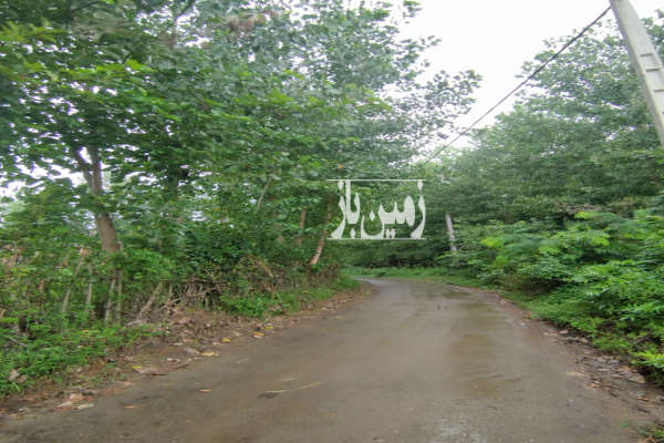 فروش زمین مسکونی باغ گیلان ۴۰۰ متر صومعه‌ سرا روستای اسلام آباد-2
