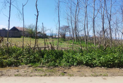 فروش زمین مسکونی باغ گیلان ۴۰۰ متر صومعه‌ سرا روستای اسلام آباد