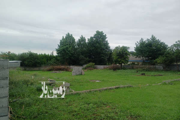فروش زمین باغ شمال ۱۰۰۰ متر کلارآباد پای کوه-2