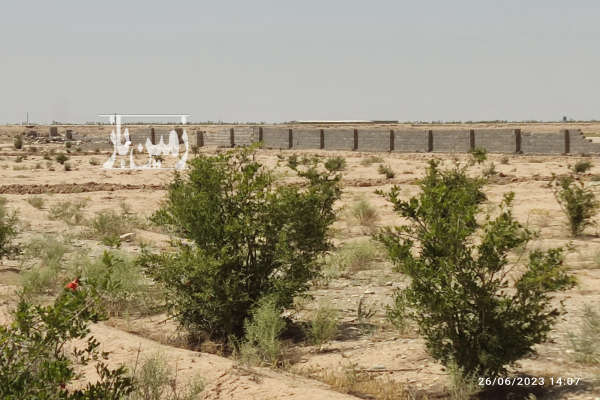 فروش زمین باغ صنعتی تهران ۱۰۰۰۰ متر ورامین روستایی-2