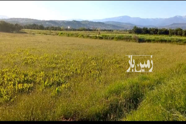فروش زمین باغ صنعتی کشاورزی شمال ۴۲۲۰ متر بابل روستای گردرودبار-3