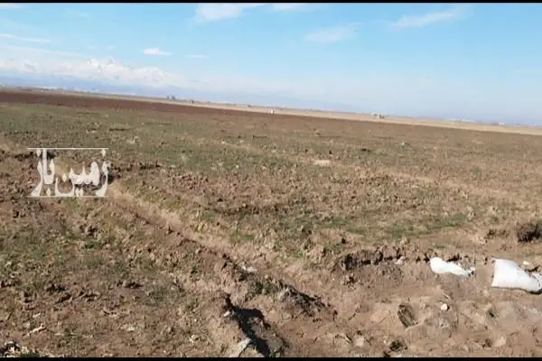 فروش زمین کشاورزی اردبیل ۵۶۰۰۰ متر روستای تپراقلو - تصویر 2
