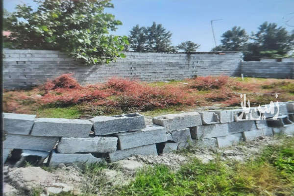 فروش زمین کشاورزی شمال ۱۲۰ متر محمودآباد جاده کلوده روستای بائوده-1
