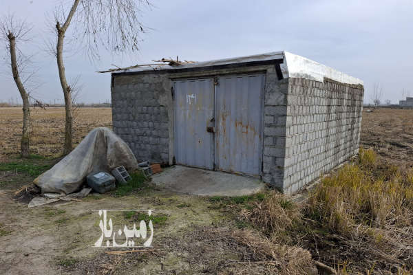 فروش زمین کشاورزی شمال ۴۸۹۵ متر جاده آمل واسکس روستای دوتیره-2