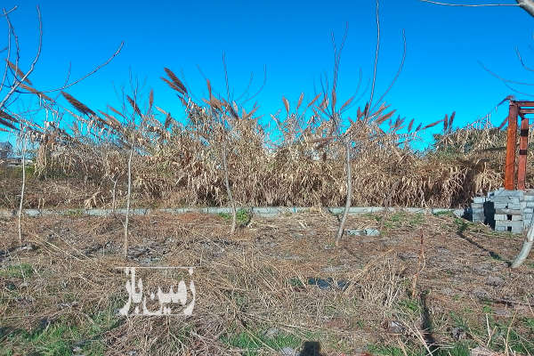 فروش زمین مسکونی شمال ۱۰۷ متر آمل روستایی-3