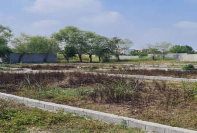 فروش زمین باغ شمال ۱۹۰ متر ساری کمربندی غربی