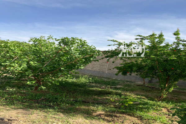 فروش زمین مسکونی باغ کلنگی تهران ۸۵۰ متر پیشوا روستای حصار سرخ-3