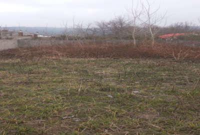 فروش زمین مسکونی گیلان ۲۱۵ متر اطاقور روستای کهلستان