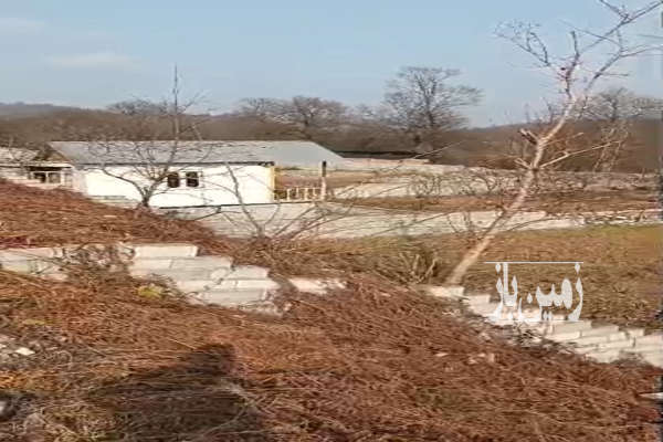 فروش زمین مسکونی شمال ۴۷۰ متر بابل بتبل روستای بندپی دیوا-2