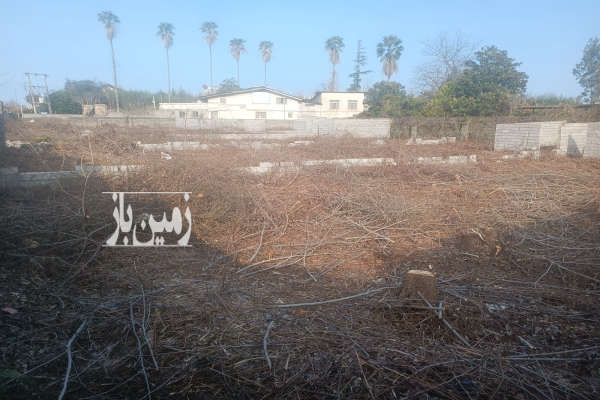 فروش زمین مسکونی شمال ۱۸۷۵ متر چالوس-3