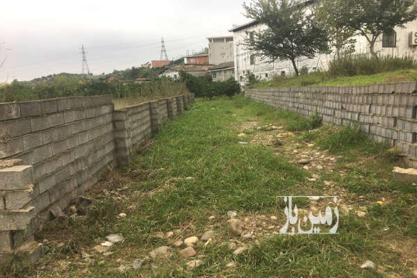 فروش زمین باغ شمال ۲۵۰۰ متر مرزیکلا  روستای رییس کلا-4