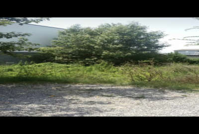 فروش زمین مسکونی شمال ۲۴۰ متر نور دارای جواز