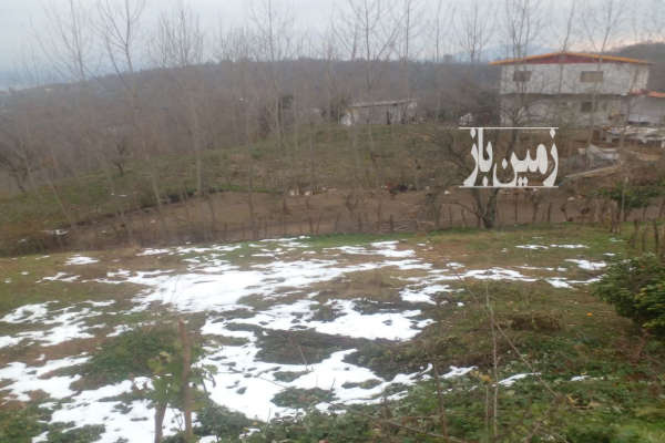فروش زمین باغ شمال ۱۵۰۰ متر بابل بابل کنار-4