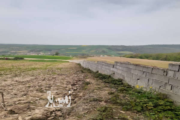 فروش زمین کشاورزی شمال ۱۰۰۰ متر ساری جاده ساری به نکا روستای اسبوکلا-1