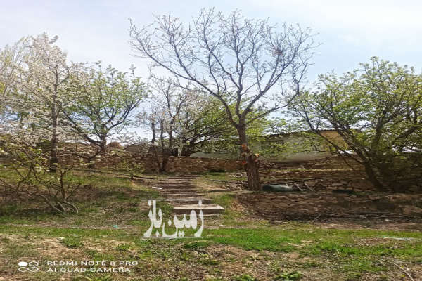 فروش زمین باغ شمال ۲۷۰۰۰ متر رینه-3