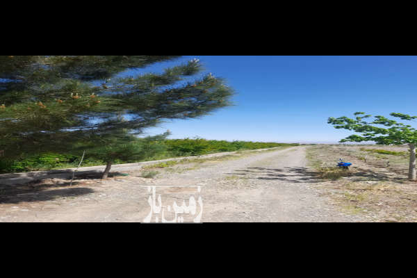 فروش زمین باغ صنعتی کشاورزی قم ۱۰۰۰ متر جعفریه-2