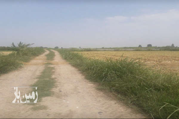 فروش زمین کشاورزی شمال ۱۰۰۰ متر آمل روستای انجپل-2