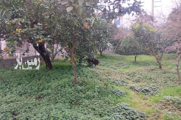 فروش زمین مسکونی باغ شمال ۴۰۰ متر چمستان سعادت اباد-1