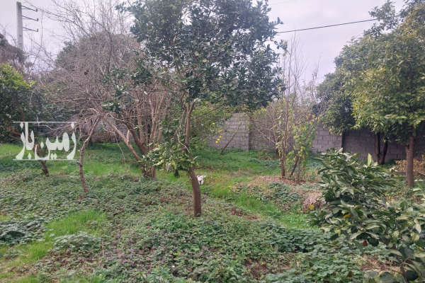 فروش زمین مسکونی باغ شمال ۴۰۰ متر چمستان سعادت اباد-2