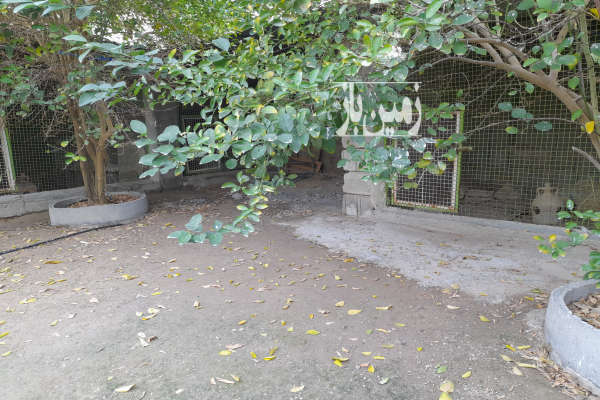 فروش زمین مسکونی بوشهر ۲۳۵ متر برازجان دالکی-1