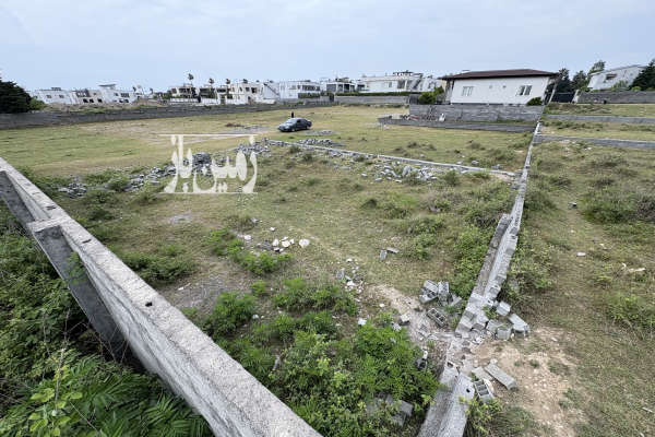 زمین مسکونی شمال ۳۰۵ متر سیسنگان نخ شمال-1