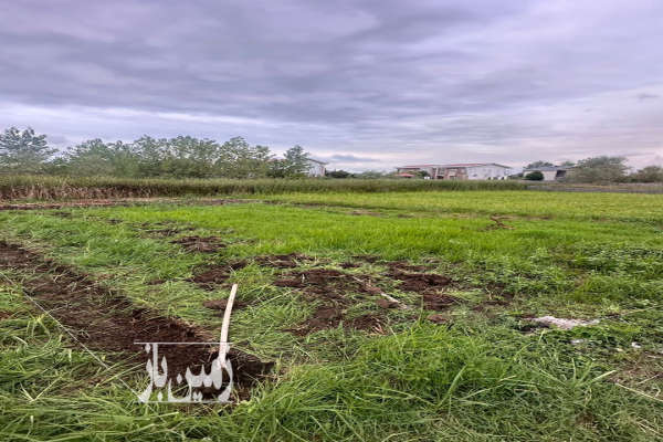 فروش زمین باغ گیلان ۲۰۰ متر رشت سه راه امین آباد-1