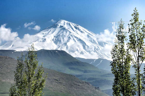 فروش زمین باغ شمال ۵۲۵ متر آمل لاریجان امیری روستای هاره-4