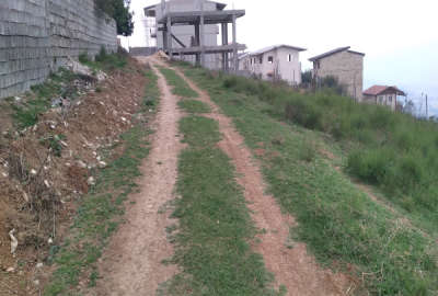 فروش زمین کشاورزی شمال ۱۸۵ متر ساری دودانگه روستای تلاوک