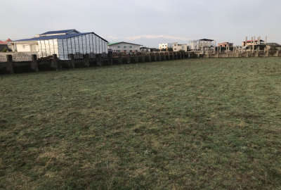 فروش زمین مسکونی شمال ۴۸۰ متر آمل روستای اوجی آباد شهرکی