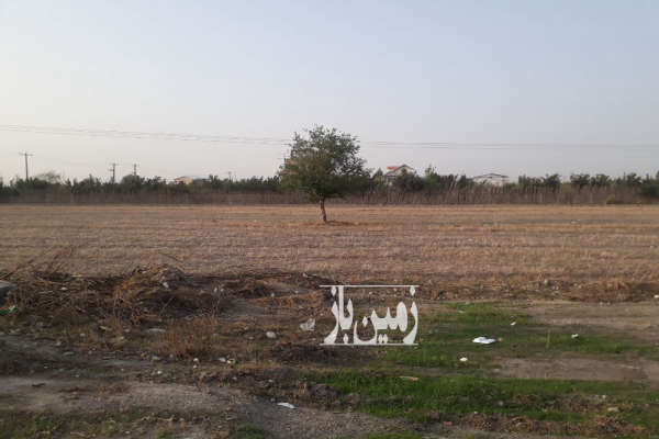 فروش زمین کشاورزی گلستان ۷۵۰۰ متر گرگان جاده کردکوی به گرگان-4