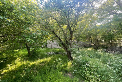 فروش زمین باغ تهران ۲۳۰۰ متر اوشان روستای رودبار قصران