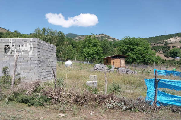 فروش زمین باغ شمال ۱۰۰۰ متر نوشهر کجور روستای گندسکلا-2