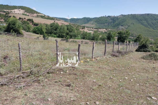 فروش زمین باغ شمال ۱۰۰۰ متر نوشهر کجور روستای گندسکلا-4