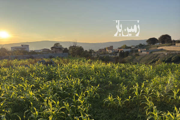 فروش زمین مسکونی باغ شمال ۵۴۰ متر ساری تنگه لته (پرچیکلا) روستایی-1