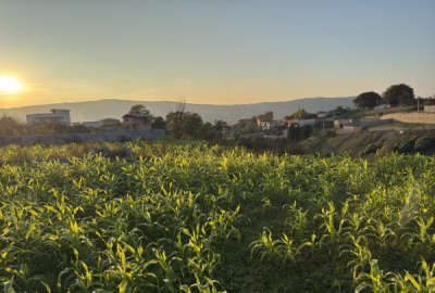 فروش زمین مسکونی باغ شمال ۵۴۰ متر ساری تنگه لته (پرچیکلا) روستایی
