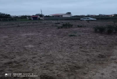 فروش زمین باغچه شمال ۲۵۲ متر ساری روستای لاکدشت