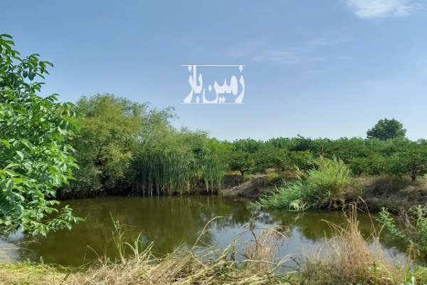 فروش زمین باغ کشاورزی شمال ۸۰۰۰ متر ساری فرح اباد-1