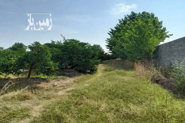 فروش زمین باغ کشاورزی شمال ۸۰۰۰ متر ساری فرح اباد-2
