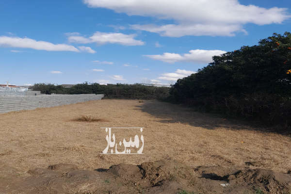فروش زمین باغ شمال ۵۰۰ متر آمل روستای هلی کتی-1
