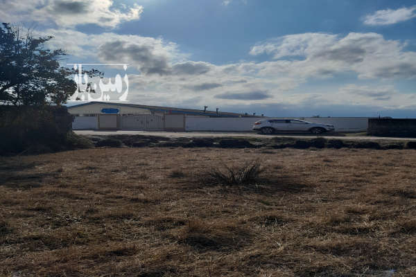 فروش زمین باغ شمال ۵۰۰ متر آمل روستای هلی کتی-2