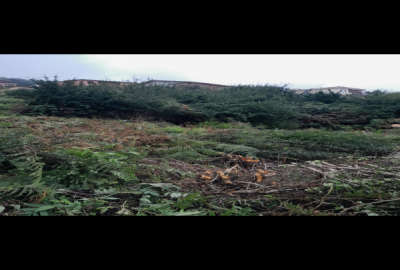فروش زمین مسکونی شمال ۱۷۹ متر آمل روستای چلاو